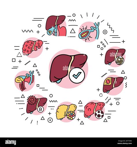 Liver Diseases Web Banner Infographics With Linear Icons On White