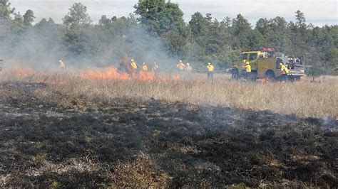 Activos Incendios Forestales En Durango