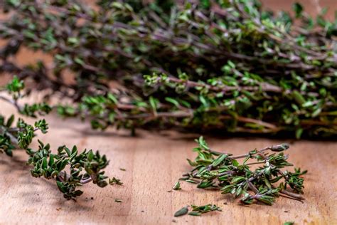 Close up of fresh thyme - Creative Commons Bilder