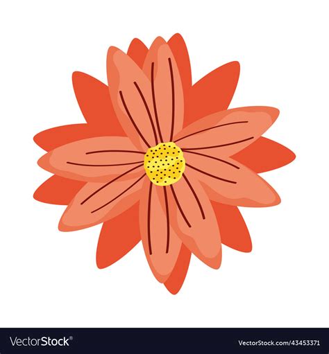 Orange flower garden decoration Royalty Free Vector Image