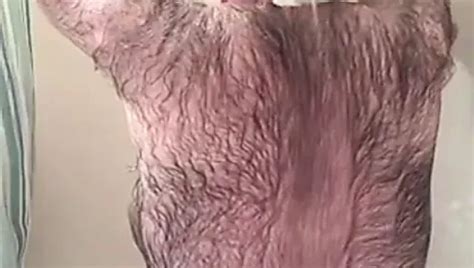 Bearcub Shower Scene Gay Bear Man Porn Xhamster