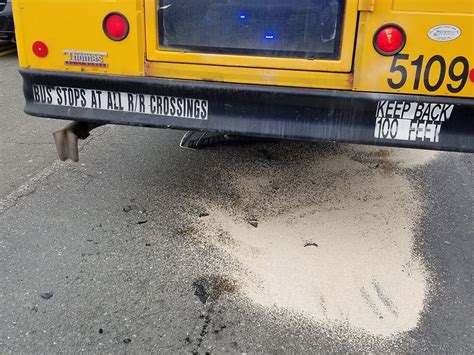 School Bus Rear Ended By Car On Route 9 In Hadley Sustains Minor