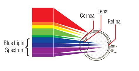 Blue Light Demystified: The Blue Light Fact Checker - Torga Optical ...