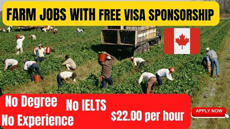 Farm Jobs In Canada With Free Visa Sponsorship No Experience No