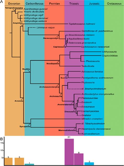 Main Fossil Tetrapod Taxa Of Greenland A Time Calibrated Phylogenetic Download Scientific