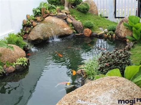 cach tu lam ho ca san vuon vua dep vua hop phong thuy