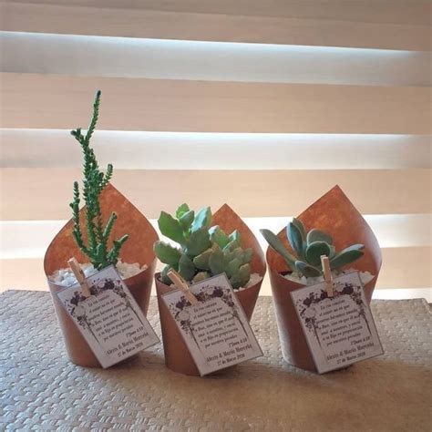 Suculentas En Papel Kraft Cactussuculovers