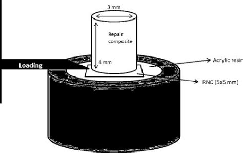 Schematic Diagram Of The Shear Bond Strength Test Download Scientific Diagram