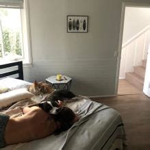 Aly Michalka Shows Off Her Tits In A See Through Top AZNude