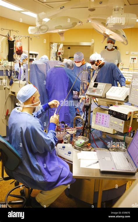 Anaesthesist Al Lavoro Durante La Sostituzione Di Valvola Mitralica