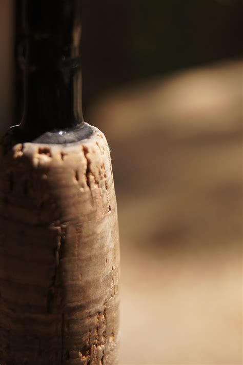 Cork On A Fishing Pole Fishing Pole Nature Photos Fish