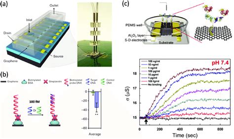 A Schematics And Image Of An 8 Graphene Electrode FET Array That Sits