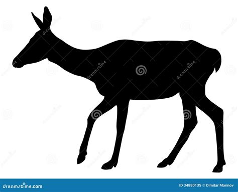 Doe stock vector. Illustration of silhouette, vector - 34880135