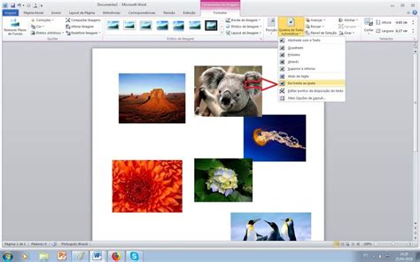 Como Imprimir Varias Fotos Na Mesma Folha - Saiba como imprimir várias imagens na mesma folha | PrintLoja Blog