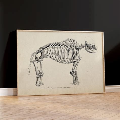 Victorian Mammoth Skeleton Art Print Animal Art Print - Etsy