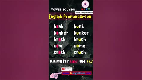 English Pronunciation Minimal Pairs Vowel Sounds æ And ʌ 2 Youtube