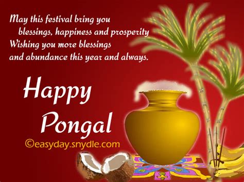 Pongal Wishes, Messages and Pongal Greetings - Easyday