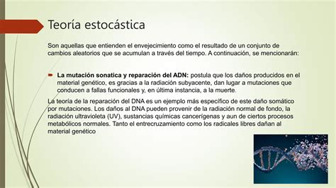 Teor As Del Envejecimiento Biologicas Pptx