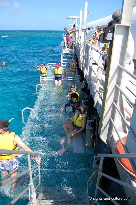 Great Barrier Reef Sunlover Cruise Snorkel Site