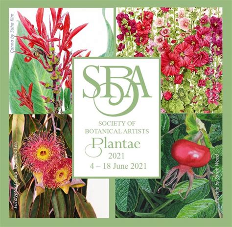 Home Society Of Botanical Artists