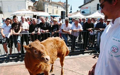 Et Tout Chalais Retrouva Sa C L Bre Foire Aux Veaux