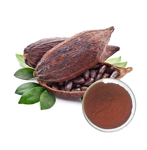 Kosher Certified Natural Theobromine Cocoa Extract China