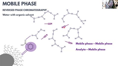 Reverse-Phase Chromatography How It Works at Edward Medellin blog