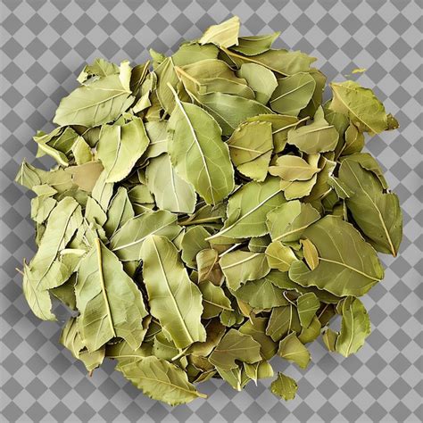 Premium Psd Yerba Mate Leaves Herb Type Ilex Paraguariensis Form Of