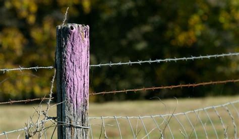 Si Vous Voyez Une Cl Ture Peinte En Violet Vous Feriez Mieux De Savoir