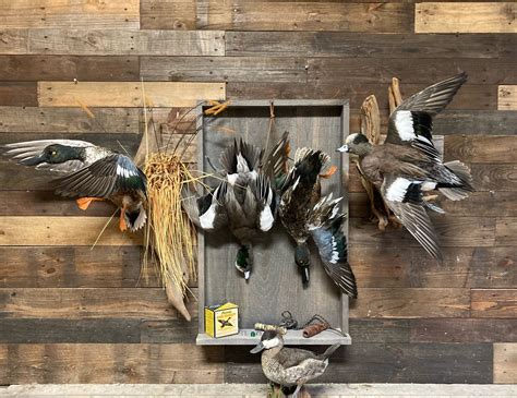 Hone Your Late-Season Duck Hunting Skills — Knights Taxidermy