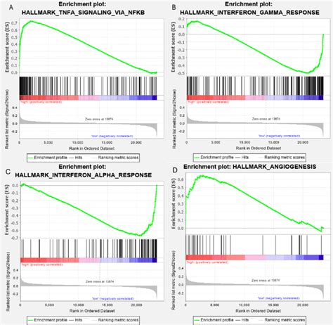 The immune-related pathways enriched in the high-infiltration group of ... 