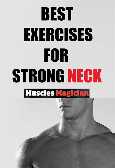 Neck Exercises Neck Exercises Neck Muscle Exercises Neck Muscles