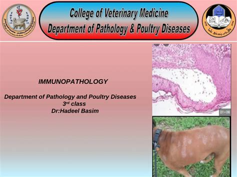 PDF Immunopathology