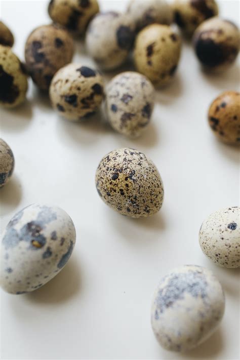 Close-Up Photo Of Quail Eggs · Free Stock Photo