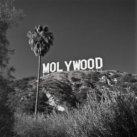 hollywood sign  black  white premium ai generated image