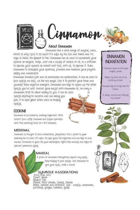 The Magical Properties Of Cinnamon 11 Interesting Facts Artofit