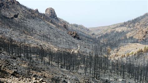 Tenerife Rambler - Walking in Tenerife: Tenerife Wildfires