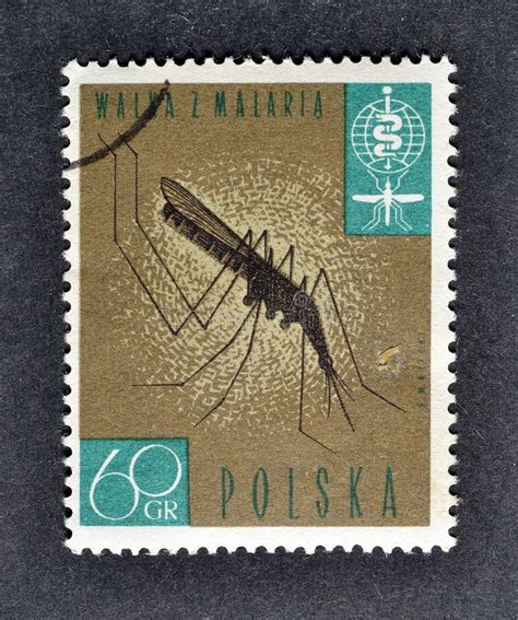 Cancelled Postage Stamp Printed By Poland That Shows Anopheles