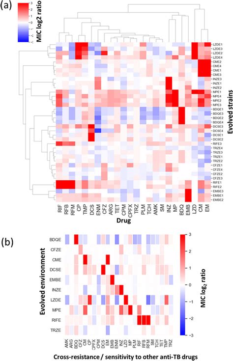 Consequence Of Anti Tuberculosis TB Drug Resistance Evolution