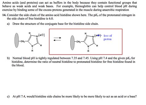 Solved Amino Acids And Proteins Can Act As Buffers In The Chegg