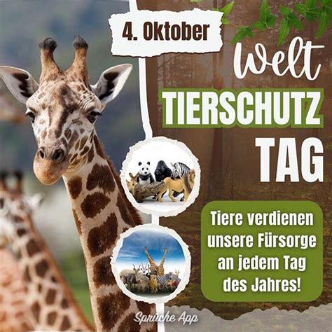 Tierschutz Spr Che Zitate Und Gr E Bilder Good Space