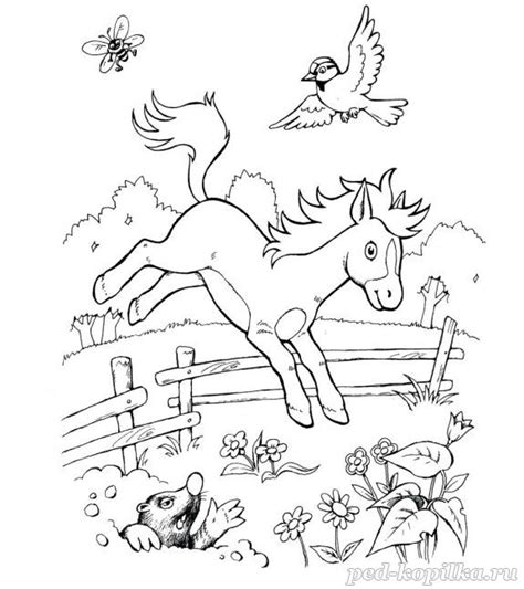 Раскраска для детей. Лошадка. Раскраска Лошадка на лугу