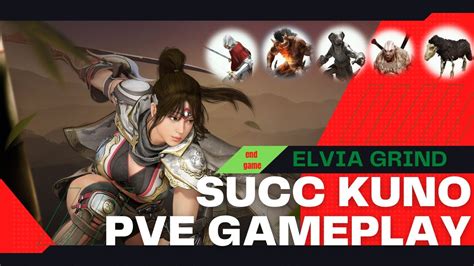 BDO Kunoichi Succession PVE Gameplay In Elvia Server Black Desert