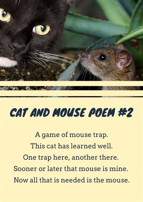 16+ Cat Poems For Kids To Read 🐈 | Imagine Forest