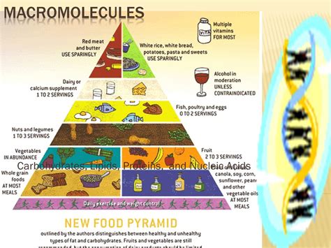 Nucleic Acid Foods