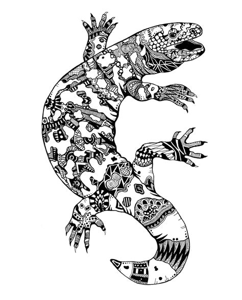 Gila Monster Drawing