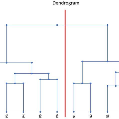 The Agglomerative Hierarchical Classification Dendrogram Of Individuals