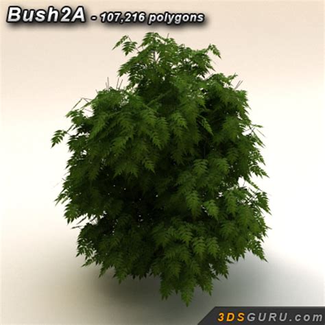 3d Shrubs Leaf Model