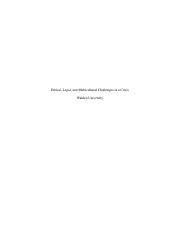 Wk Assgnthierk Docx Pdf Ethical Legal And Multicultural Challenges