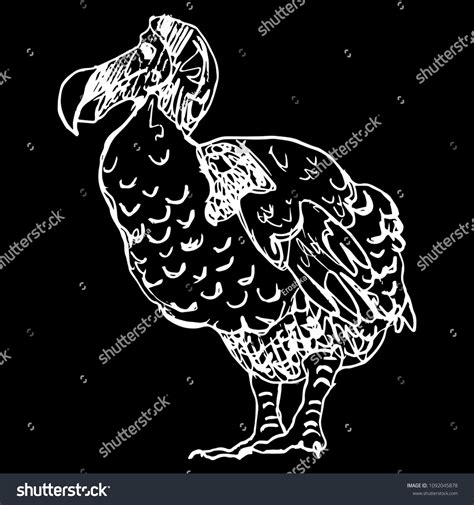 Isolated Vector Illustration Extinct Bird Dodo Stock Vector (Royalty ...